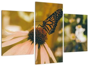 Obraz motýľa na kvetine (90x60 cm)
