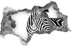 Diera 3D fototapeta nálepka Zebra v snehu nd-b-121577688