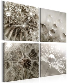 Artgeist Obraz - Grey Dandelion Veľkosť: 40x40, Verzia: Standard