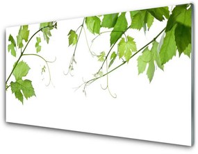 Skleneny obraz Vetvy listy príroda kvety 100x50 cm
