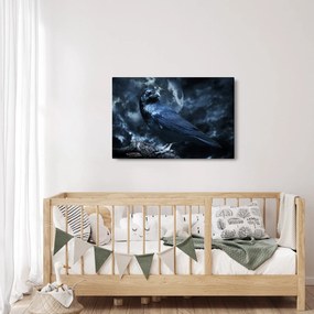 Obraz - Havran (90x60 cm)