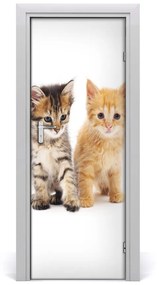 Samolepiace fototapety na dvere Sivá a červená mačka 85x205 cm