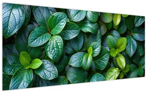 Obraz - Zelené rastliny (120x50 cm)
