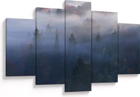 Obraz - Les v hmle, Karpaty, Ukrajina (150x105 cm)