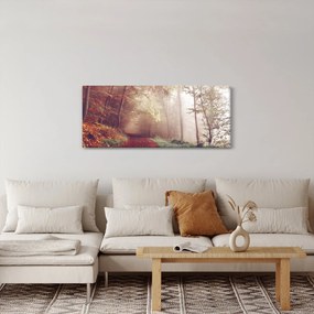 Obraz - Jesenná prechádzka lesom (120x50 cm)