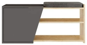 Skrinka na topánky FIONA 37x104 cm hnedá/antracit