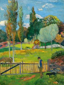 Obrazová reprodukcia A Walk in The Park, Paul Gauguin