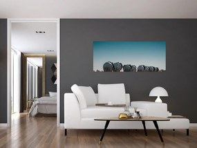 Obraz - Odchod slonov (120x50 cm)