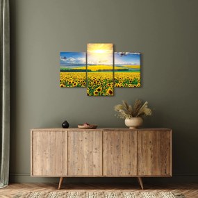 Obraz - Pole slnečníc (90x60 cm)