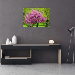 Sklenený obraz rozkvitnutého stromu na lúke (70x50 cm)