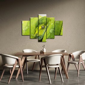 Obraz hada (150x105 cm)