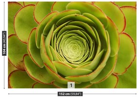 Fototapeta Vliesová Zelený kvet 104x70 cm