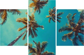 Obraz - Vysoké palmy (90x60 cm)