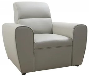 Kožené kreslo TOKIO, sivá (u-24)