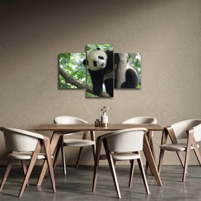 Obraz - Panda na strome (90x60 cm)