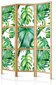 Artgeist Japonský paraván - Monstera and Palm Leaves I Veľkosť: 135x161