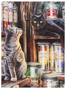 Obraz na plátne s mačkami a lektvarmi