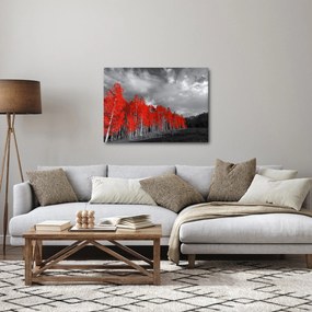 Obraz - Stromy vo farbe jesene (70x50 cm)