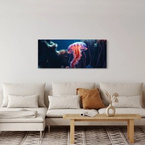 Obraz - Medúzka (120x50 cm)