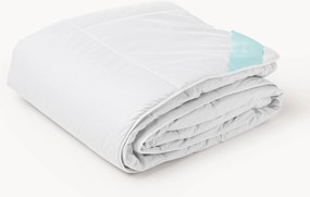 Kašmírový paplón Avani, extra hrejivý