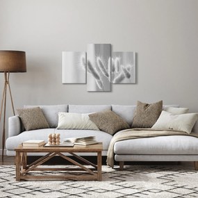 Obraz - Bunny tail grass (90x60 cm)