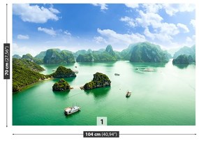 Fototapeta Vliesová Zátoka vo vietname 104x70 cm