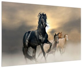 Obraz koňa (90x60 cm)