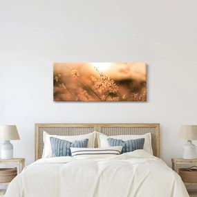 Obraz - Tráva na slnku (120x50 cm)