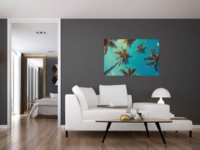 Obraz - Vysoké palmy (90x60 cm)
