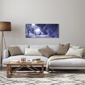 Obraz - Čarovná zimná noc (120x50 cm)