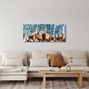 Obraz - Stádo jeleňov (120x50 cm)