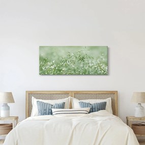 Obraz - Ranná rosa na steblach trávy (120x50 cm)