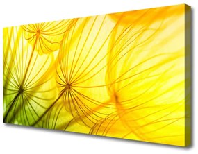 Obraz Canvas Púpavy kvety príroda 125x50 cm