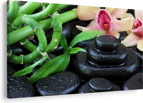 Obraz - Kamene a orchidey (90x60 cm)