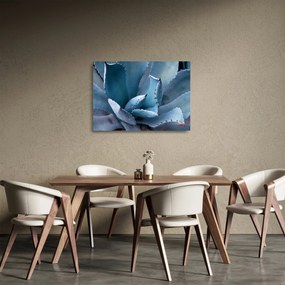 Sklenený obraz - Agáve (70x50 cm)
