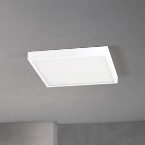 Orion - LED stmievateľné stropné svietidlo DISC LED/30W/230V 2700/3000/4000K 39x39 cm biela
