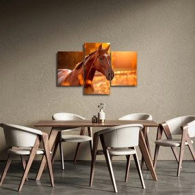 Obraz - Kôň v západe slnka (90x60 cm)