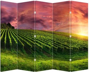 Paraván - Vinohrad s farebným nebom (210x170 cm)