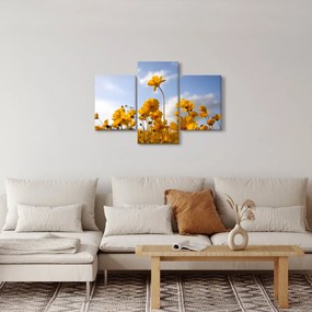 Obraz poľa s jasne žltými kvetmi (90x60 cm)