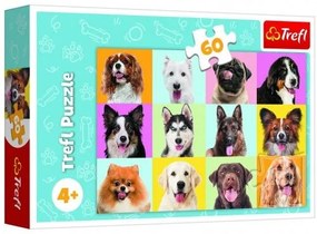 Puzzle Roztomilé psy 33x22cm 60 dielikov