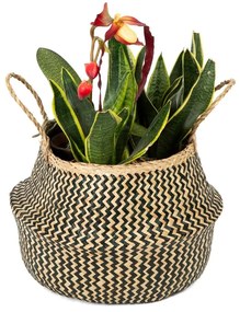 Úložný košík z morskej trávy Compactor Zic Zac, ⌀ 35 cm