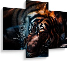 Obraz ležiaceho tigra (90x60 cm)