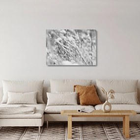Sklenený obraz - Zasnežené vetvy (70x50 cm)