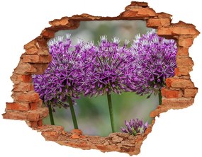 Nálepka 3D diera na stenu Cesnak kvet nd-c-99551256
