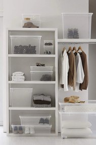 Úložný box, transparentný box s vekom, Rotho LONA, 57x39x34 (50 l)