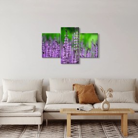 Obraz fialových lúčnych kvetov (90x60 cm)