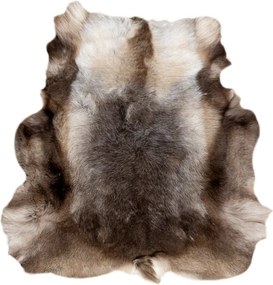 Koberec RENIFER POK018 hnedý / sivý