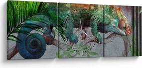 Obraz - Chameleon (s hodinami) (90x30 cm)
