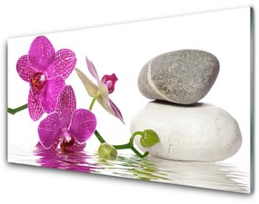 Obraz na skle Kvet kamene umenie 125x50 cm