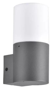 Vonkajšie nástenné svietidlo DALLAS 1xE27/12W/230V IP44 antracit